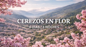 CÁCERES | Cerezos en flor