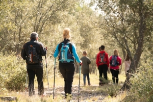 Camino Francés | 8 Días |  León a O Cebreiro | Hoteles básicos